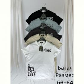 Футболка Hai H1494 l.grey