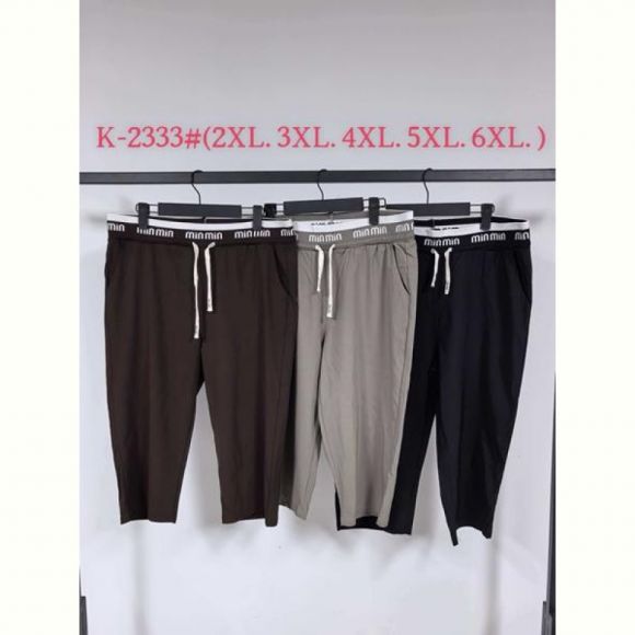 Бриджи Saint Wish K2333 grey Бриджи Saint Wish K2333 grey