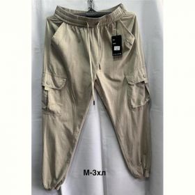Штаны спорт Minh 3002 beige
