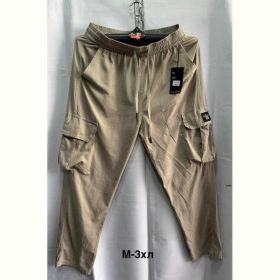Штаны спорт Minh 3005 beige