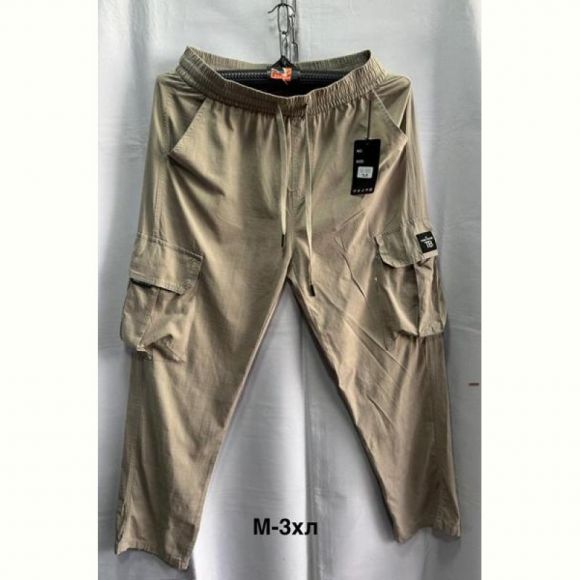 Штаны спорт Minh 3005 beige Штаны спорт Minh 3005 beige
