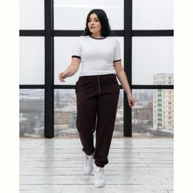 Штаны спорт AZNA Б53 brown