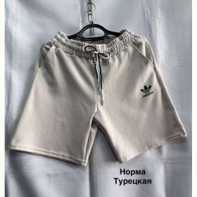 Шорты Minh MH868 beige