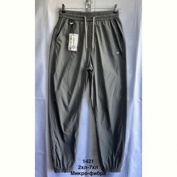 Штаны спорт Minh MH588 grey
