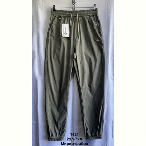 Штаны спорт Minh MH590 khaki