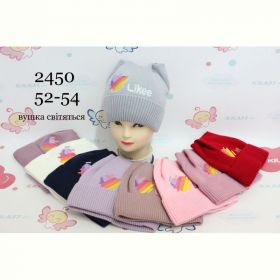 Шапка Red Hat clothes 2450 mix зима