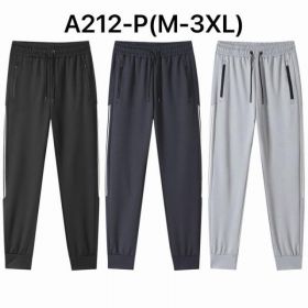 Штаны спорт Ale-Ate A212P l.grey