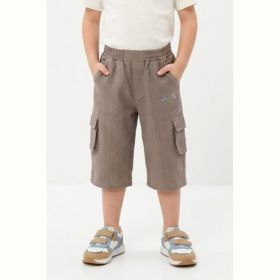 Шорты Malibu2 270 brown