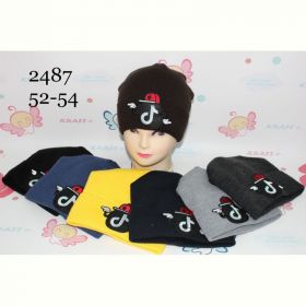 Шапка Red Hat clothes 2487 mix зима