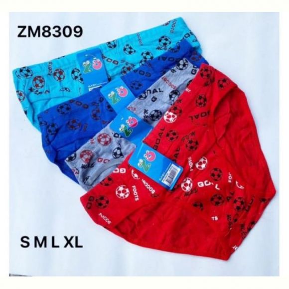 Трусы Redoor ZM8309 mix