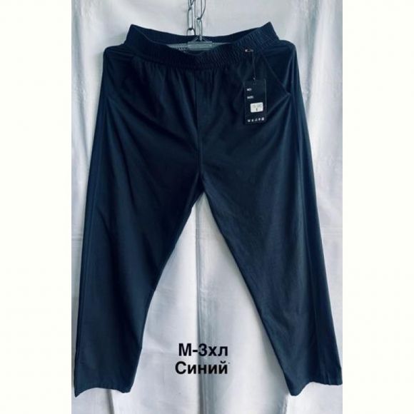 Штаны спорт Minh 3007 navy