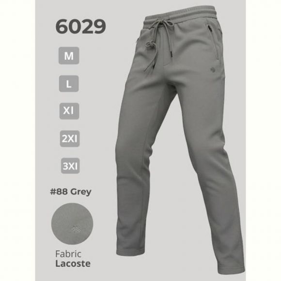 Штаны спорт 2BRO 6029 grey Штаны спорт 2BRO 6029 grey