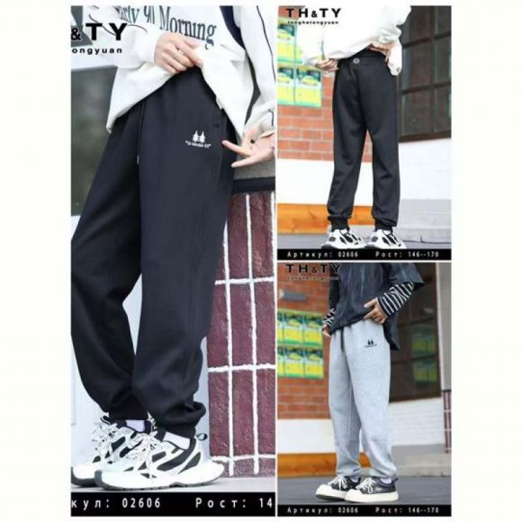Штаны спорт Delfinka 02606 grey Штаны спорт Delfinka 02606 grey