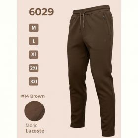 Штаны спорт 2BRO 6029 brown
