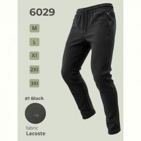 Штаны спорт 2BRO 6029 black