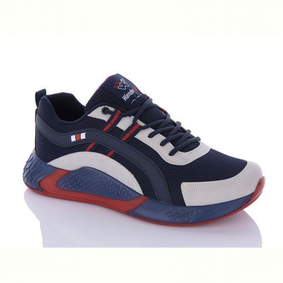 Кроссовки Wanderfull PP4138-2 blue (40-45)