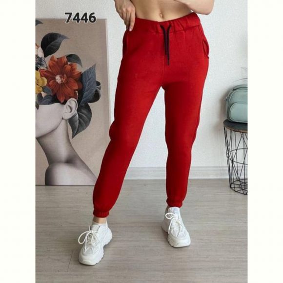 Штаны спорт FSN 7446 red
