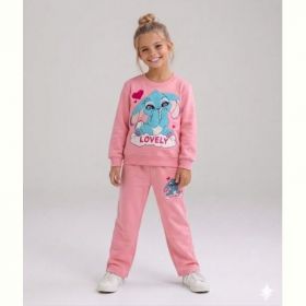 Костюм спорт Limerense DD157 pink