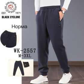 Штаны спорт Giang G70-2557 grey