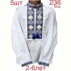 Вышиванка Надийка ND758-236 white