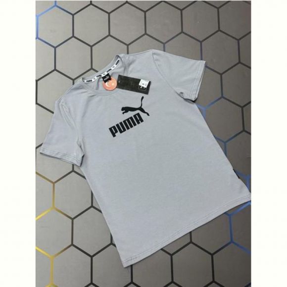 Футболка Alex Clothes 13233 grey