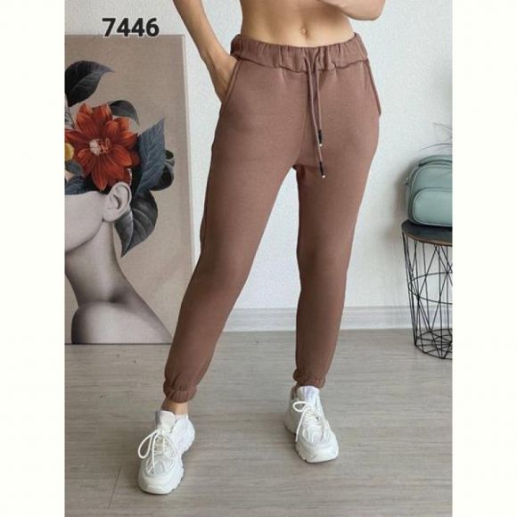 Штаны спорт FSN 7446 brown Штаны спорт FSN 7446 brown