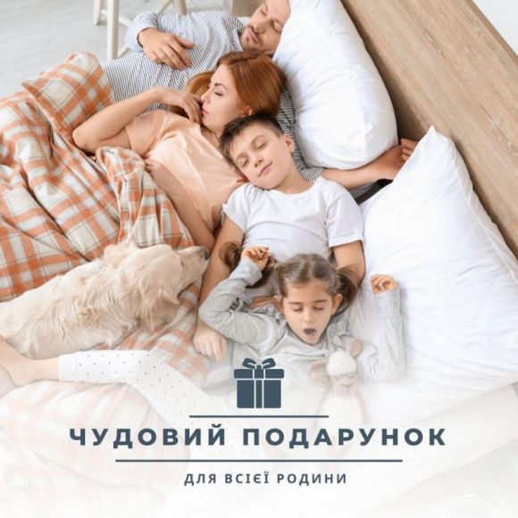 Одеяло ДобраНіч IDEIA 200х220 см всесезонное антиалергенное пл 300 г/м2 белое Одеяло ДобраНіч IDEIA 200х220 см всесезонное антиалергенное пл 300 г/м2 белое