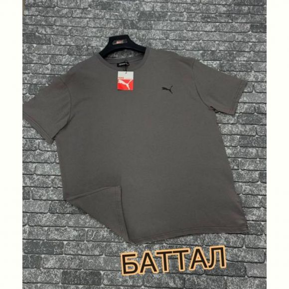 Футболка F.T.H F1139 grey